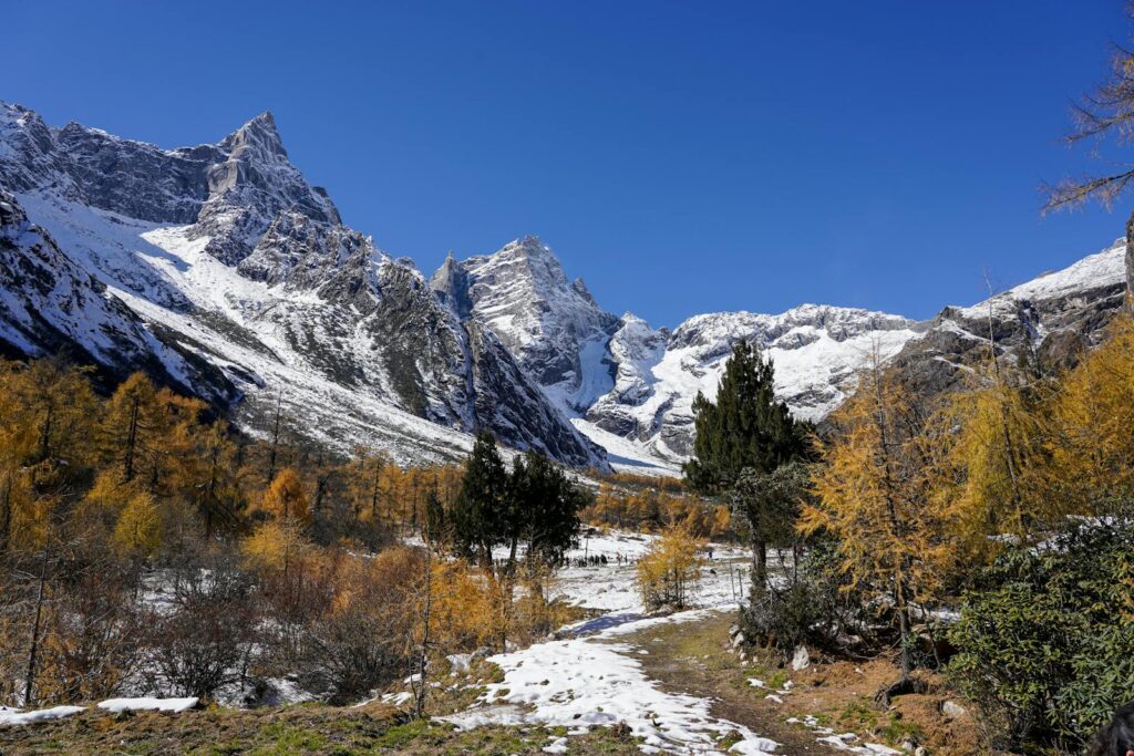 Stunning snowy mountains with autumn trees and a clear blue sky.