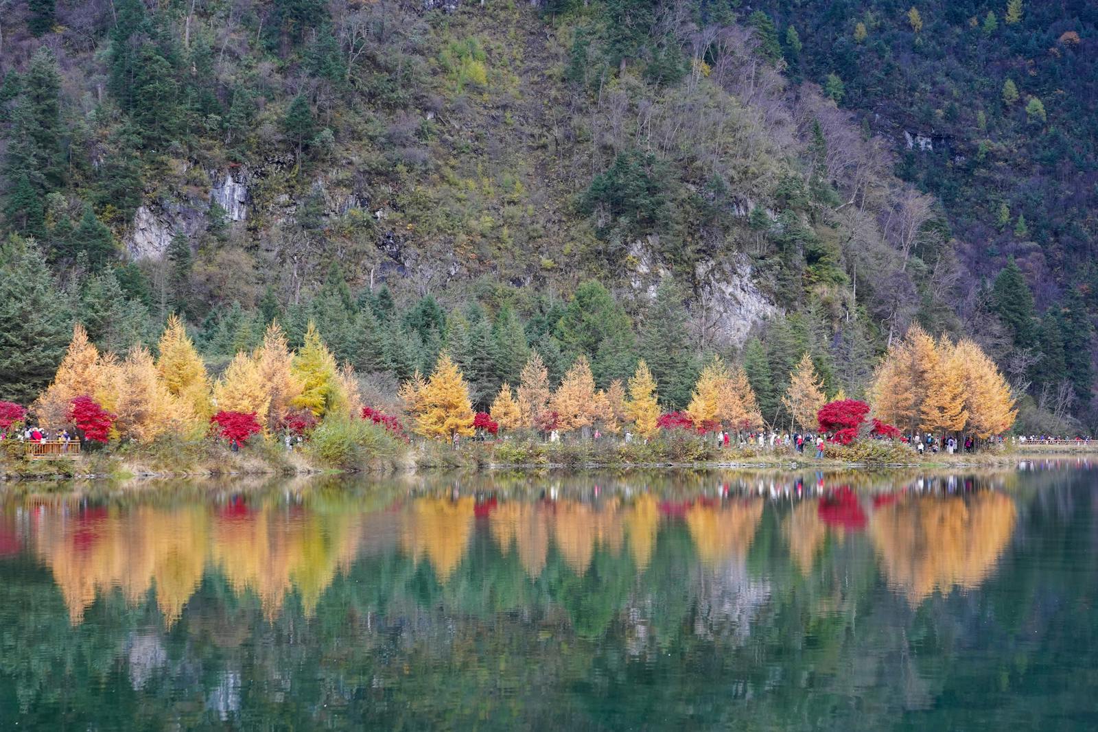Beautiful autumn landscape with reflection of colorful trees in a tranquil mountain lake. Arborist Services in Waynesboro, VA: Why Professional Tree Care Matters