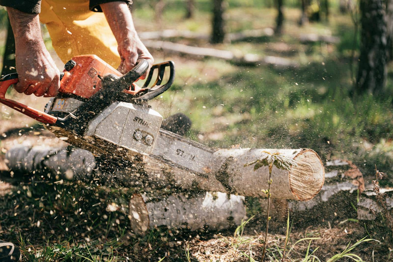 A lumberjack using a chainsaw to cut logs outdoors, with sawdust flying. Tree Cutting Service in Timberville, VA: When Removal Is the Safest Option