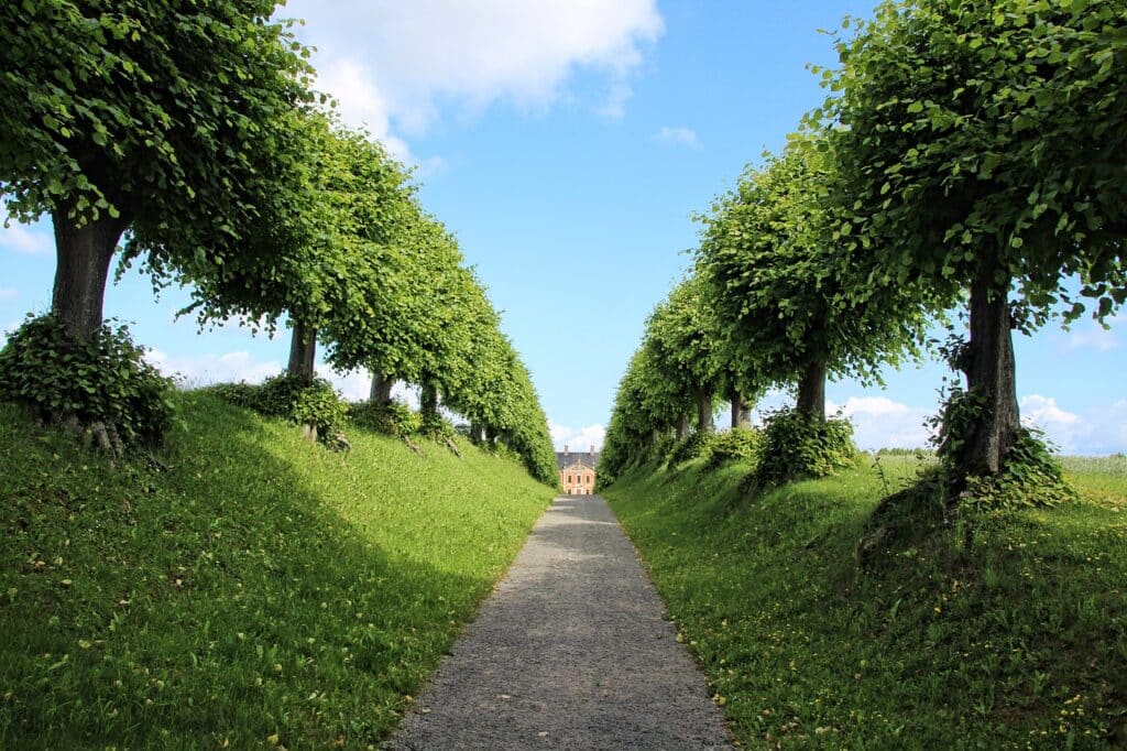 castle, avenue, trees, nature, heaven, garden, architecture, perspective, bothmer, linden tree, green, castle, heaven, garden, garden, garden, garden, garden