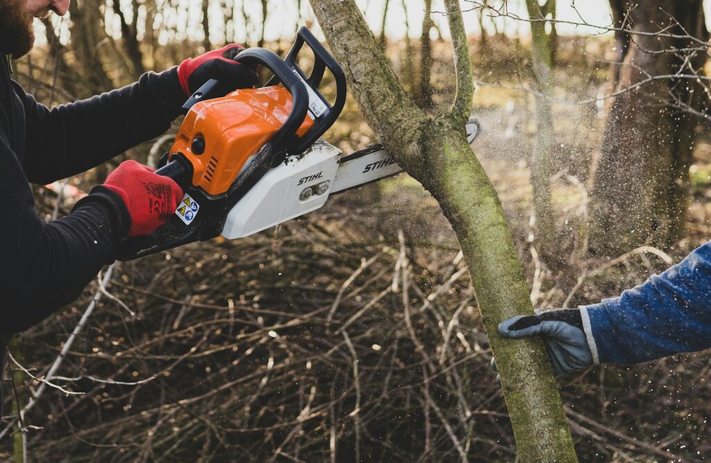 a man cutting a tree with a chainsaw