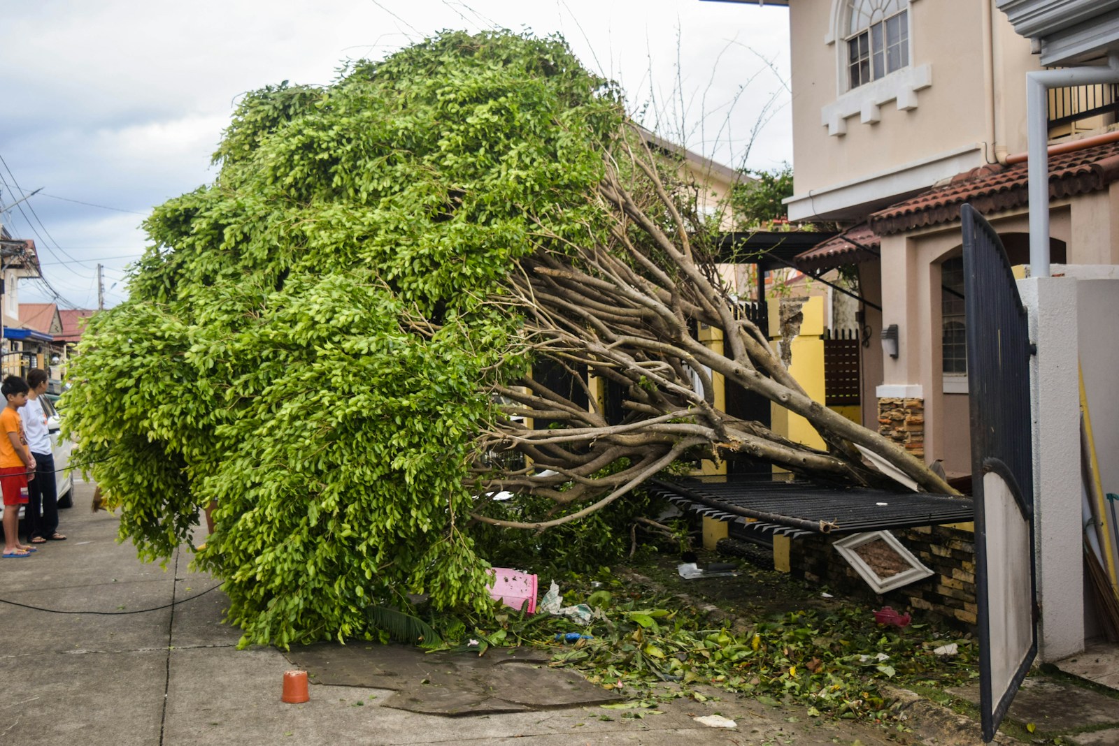 a tree that has fallen on a house Why Is Tree Removal So Expensive? Breaking Down the Costs For Tree Removal Near Me