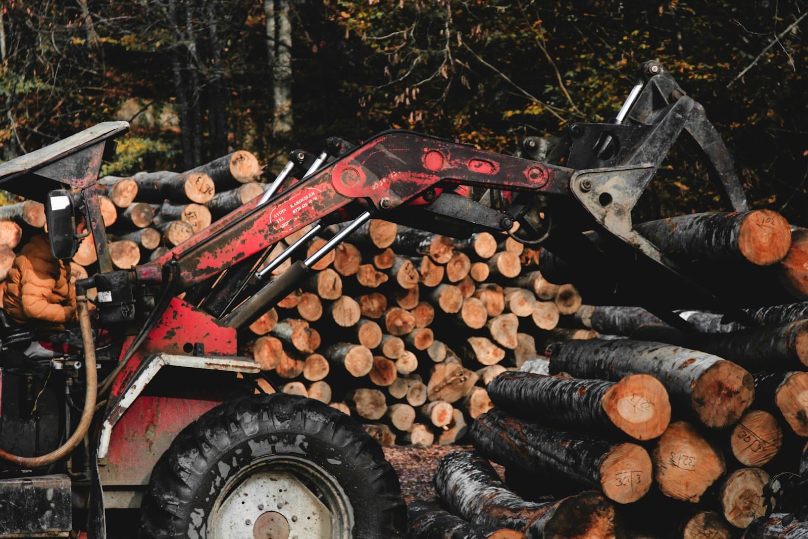 a large load of logs sitting on top of a truck Can an Arborist Save a Dying Tree? Staunton Experts Weigh In